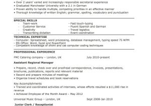 Sample Of Resume for Spanish Position Templates and Examples – Joblers