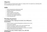 Sample Of Skills and Competencies In Resume Resume Core Competency Examples Customer Service Resume Examples …