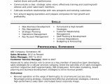 Sample Of Technical Skills In Resume Sales Director Resume Sample Monster.com