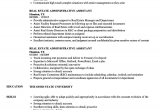 Sample Resume for Administrative assistant In Real Estate Sample Resume Administrative assistant Real Estate Fice