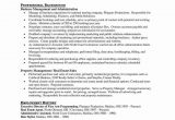 Sample Resume for Administrative assistant In Real Estate Undergraduate Research assistant Resume Sample 40 Real