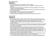 Sample Resume for Aml Kyc Analyst Resume Kyc Analyst