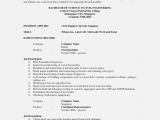 Sample Resume for assistant Professor In Civil Engineering What Will Engineering Resume Examples for Students Be Like