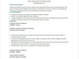 Sample Resume for assistant Professor In Computer Science Puter Science Professor Resume Example