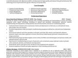 Sample Resume for Auto Mechanic Technician Mechanic Resume Sample Professional Resume Examples topresume