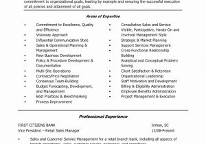 Sample Resume for Bank Branch Operations Manager 14 15 Branch Manager Resume Example southbeachcafesf