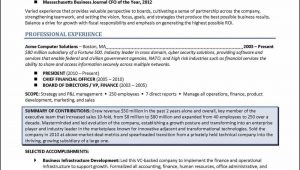 Sample Resume for Board Member Position Board Of Directors Resume Examples – Distinctive Career Services