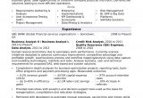 Sample Resume for Business Analyst In Banking Domain Business Analyst Resume Sample Monster.com