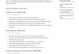 Sample Resume for Business Loan Application Loan Processor Resume Examples & Writing Tips 2021 (free Guide)