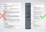 Sample Resume for Cashier Job with No Experience Cashier Resume Examples (sample with Skills & Tips)
