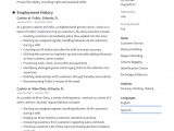 Sample Resume for Cashier Job with No Experience Cashier Resume & Writing Guide [   12 Samples ] Pdf & Word 2020