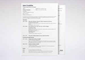 Sample Resume for College Instructor Position Academic (cv) Curriculum Vitae: Template, Examples & Guide