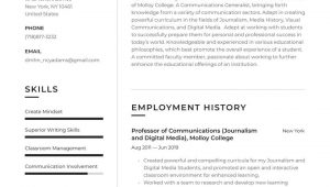 Sample Resume for College Instructor Position College Professor Resume Examples & Writing Tips 2021 (free Guide)