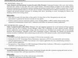 Sample Resume for Commercial Insurance Account Manager Insurance Account Manager Cv October 2021