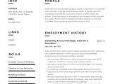Sample Resume for Commercial Insurance Account Manager Key Account Manager Resume Pdf October 2021