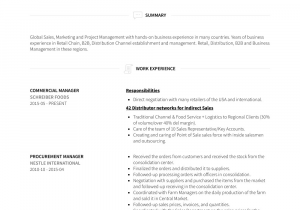 Sample Resume for Commercial Manager In India Mercial Manager Resume Samples and Templates