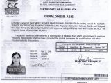 Sample Resume for Cpa Board Passer Civil Service Resumes – Cerel