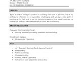 Sample Resume for Credit Manager In India Nitin Kumar Resume Credit Analyst