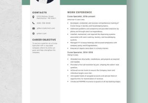 Sample Resume for Cruise Ship Nurse Cruise Specialist Resume Template – Word, Apple Pages Template.net