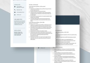 Sample Resume for Cruise Ship Nurse Free Free Cruise Ship Security Officer Resume Template – Word …