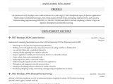Sample Resume for Dot Net Developer Experience 10 Years Net Developer Resume & Writing Guide