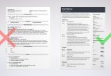 Sample Resume for Entry Level Sas Programmer Programmer Resume Examples (template & Guide)