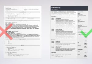 Sample Resume for Entry Level Sas Programmer Programmer Resume Examples (template & Guide)