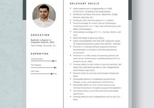 Sample Resume for Entry Level Sas Programmer Programmer Resumes Templates – Design, Free, Download Template.net