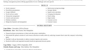 Sample Resume for Experienced Copy Editor Copy Editor Resumes