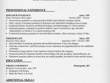 Sample Resume for Experienced Insurance Professional Insurance Internships