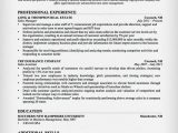 Sample Resume for Experienced Insurance Professional Insurance Sales Resume Sample