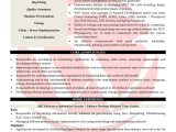 Sample Resume for Experienced Java software Engineer Java Developer Sample Resumes, Download Resume format Templates!