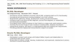 Sample Resume for Experienced Pl Sql Developer Pl Sql Developer Resume Samples