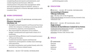 Sample Resume for Financial Management Position Finance Manager Resume Sample