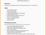 Sample Resume for Flight attendant with No Experience Pdf 7 Flight attendant Resume No Experience