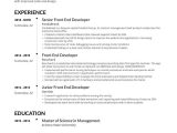 Sample Resume for Front End Developer Front End Developer Resume Examples & Guide for 2021