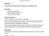 Sample Resume for Government Job In India Template for Professional Resume Job Resume Examples, Resume …