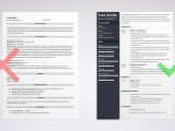 Sample Resume for Head Of Department Director Of Operations Resume: Examples and Guide [10lancarrezekiq Tips]