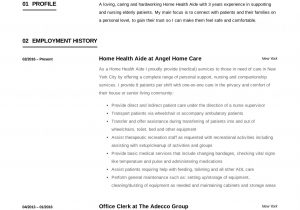 Sample Resume for Home Support Worker Home Health Aide Resume Sample & Writing Guide –  12 Samples Pdf