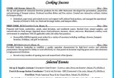 Sample Resume for Ice Cream Shop Ice Cream Chef Cv September 2021