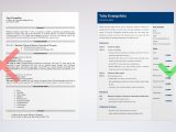 Sample Resume for Insurance Sales Manager Insurance Sales Agent Resume Examples & Job Description