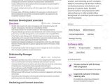 Sample Resume for International Development Jobs Business Development Resume Samples [4 Templates   Tips]