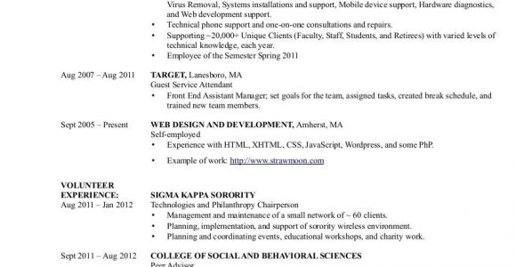 Sample Resume for Internship In Information Technology Information Technology Cv Writing Service! It Cv Example …