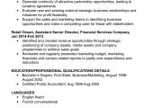 Sample Resume for It Director Position Managing Director Cv Template & Examples Audit Finance Management