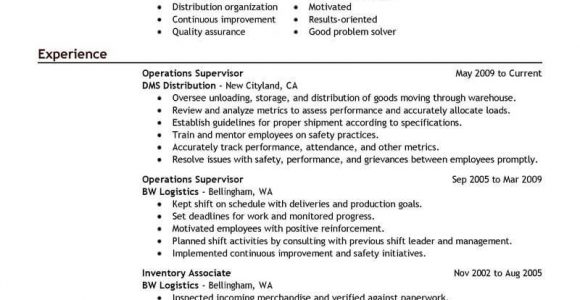 Sample Resume for It Director Position Sample Resume for Management Position [download] – Free …