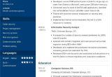 Sample Resume for It Security Analyst Information Security Analyst Resumeâsample and Writing Tips