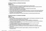 Sample Resume for L2 Support Engineer It Support Technician Resume Inspirational Resume format for …
