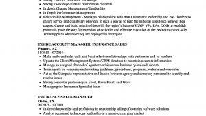 Sample Resume for Life Insurance Sales Manager Insurance Sales Manager Resume Samples