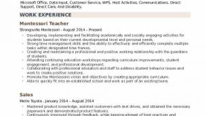Sample Resume for Montessori assistant Teacher Montessori Teacher Resume Samples