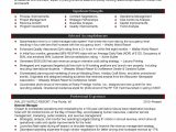 Sample Resume for Nonprofit Executive Director Executive Director Resume Non Profit Service Project Manager …
